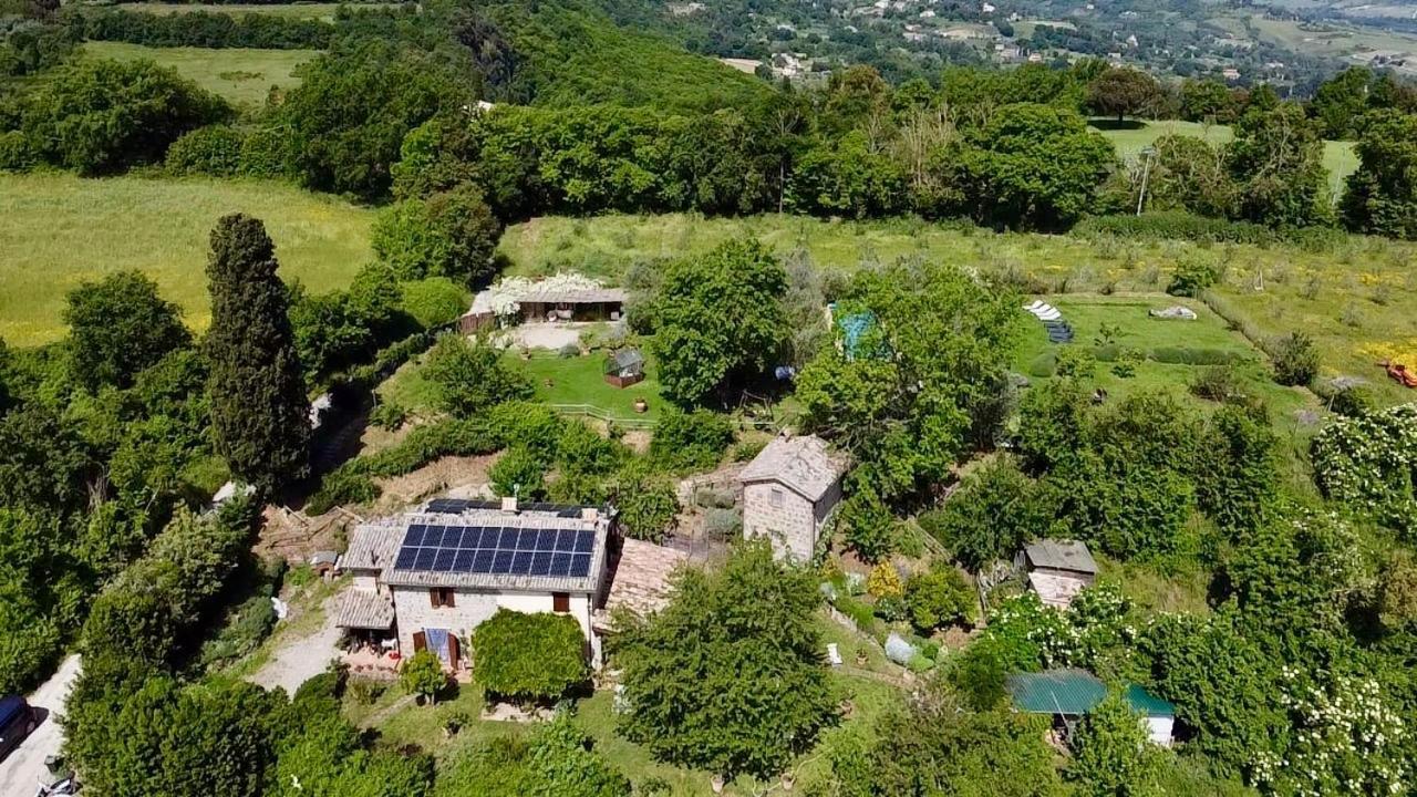 Agriturismo La Cervaiola Piccola Dimora Di Campagna Porano Exterior photo
